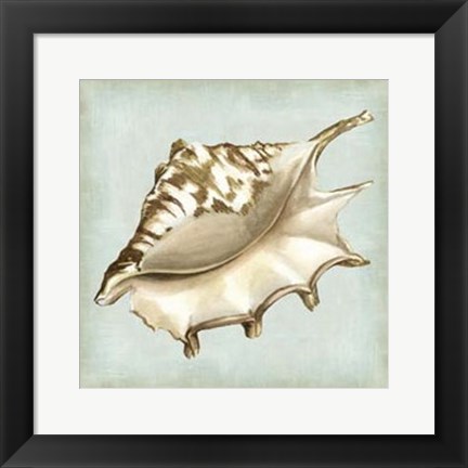 Framed Sea Dream Shells IV Print