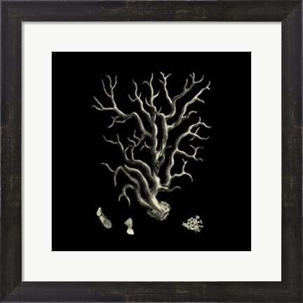 Framed Small Black &amp; Tan Coral I Print