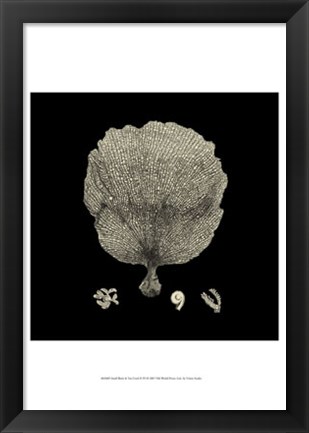 Framed Small Black &amp; Tan Coral II Print