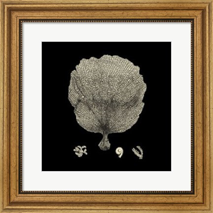 Framed Small Black &amp; Tan Coral II Print
