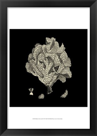 Framed Small Black &amp; Tan Coral IV Print