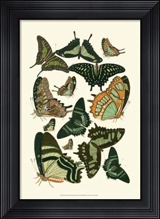 Framed Green Butterfly Study Print