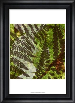 Framed Shade I Print