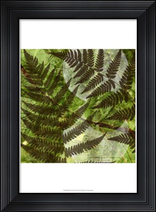 Framed Shade II Print