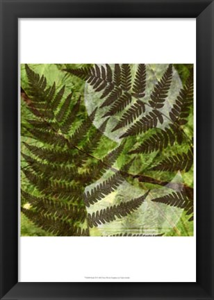 Framed Shade II Print