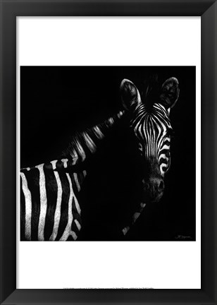 Framed Wildlife Scratchboards IV Print