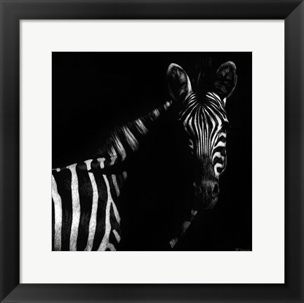 Framed Wildlife Scratchboards IV Print