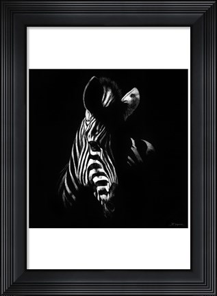 Framed Wildlife Scratchboards V Print