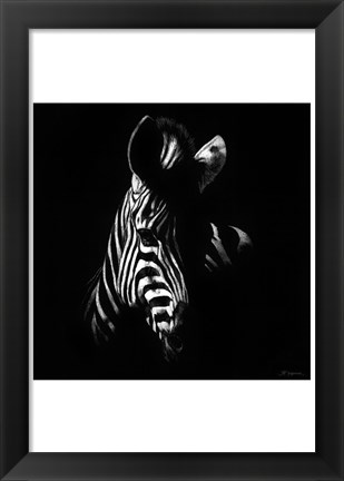 Framed Wildlife Scratchboards V Print