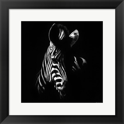 Framed Wildlife Scratchboards V Print