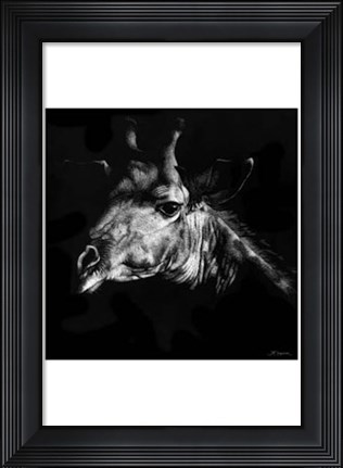 Framed Wildlife Scratchboards VI Print