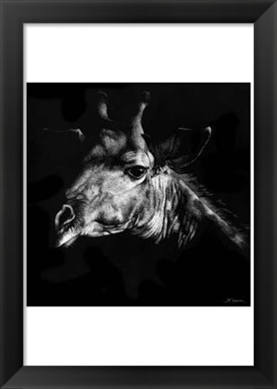 Framed Wildlife Scratchboards VI Print