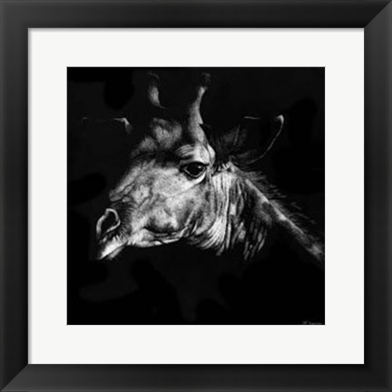 Framed Wildlife Scratchboards VI Print