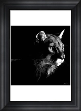 Framed Wildlife Scratchboards VII Print