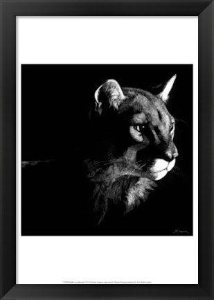 Framed Wildlife Scratchboards VII Print