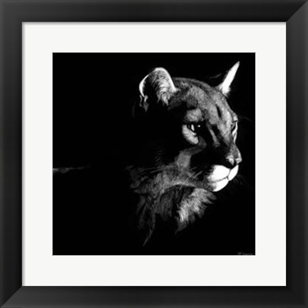 Framed Wildlife Scratchboards VII Print