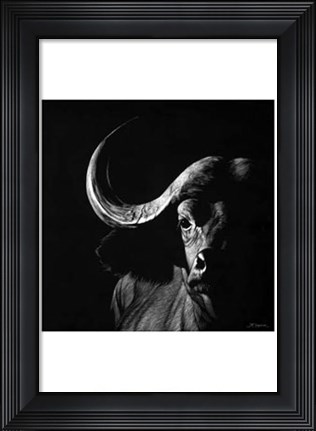 Framed Wildlife Scratchboards VIII Print