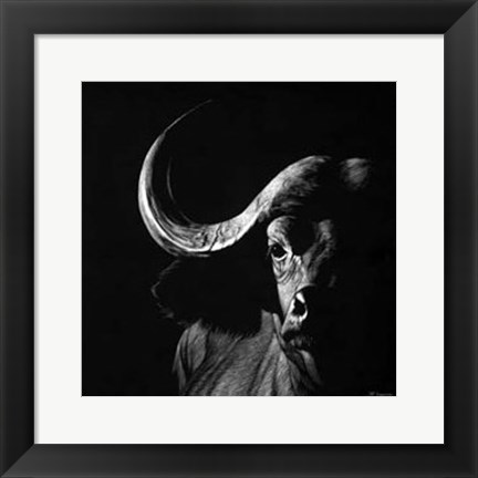 Framed Wildlife Scratchboards VIII Print