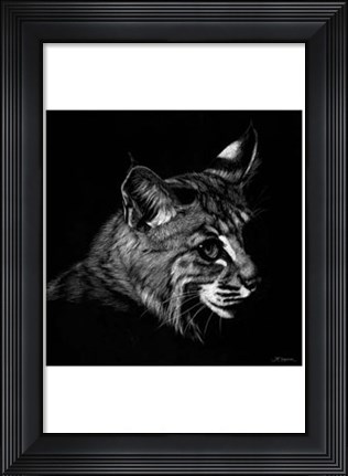 Framed Wildlife Scratchboards IX Print