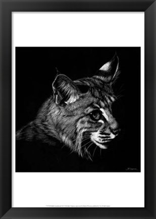 Framed Wildlife Scratchboards IX Print