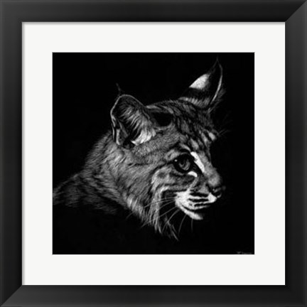 Framed Wildlife Scratchboards IX Print