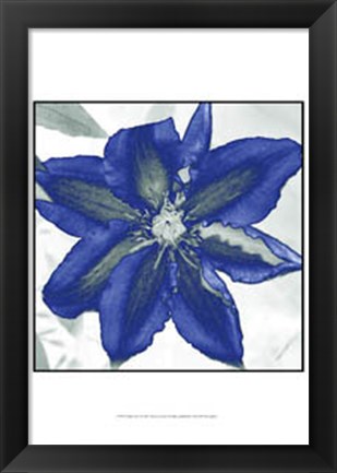 Framed Indigo Star I Print