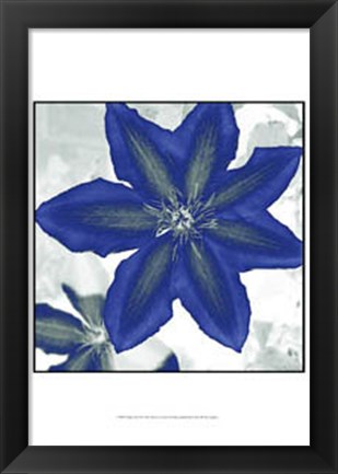 Framed Indigo Star II Print