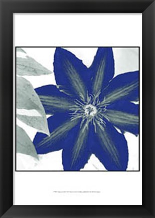 Framed Indigo Star III Print