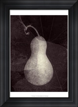 Framed Gourd I Print