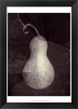 Framed Gourd I Print