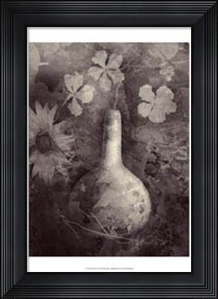 Framed Gourd II Print