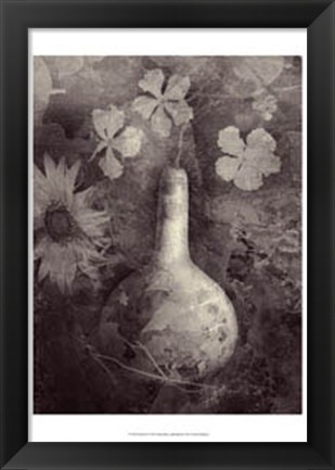 Framed Gourd II Print