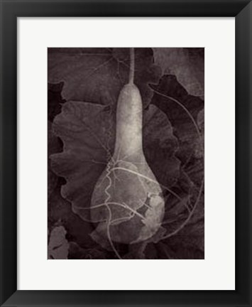 Framed Gourd III Print