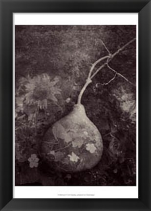 Framed Gourd IV Print