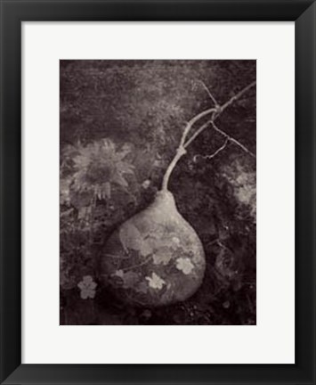 Framed Gourd IV Print