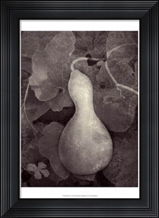 Framed Gourd V Print