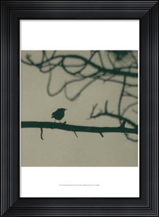 Framed Caligraphy Bird II Print