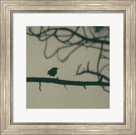 Framed Caligraphy Bird II Print