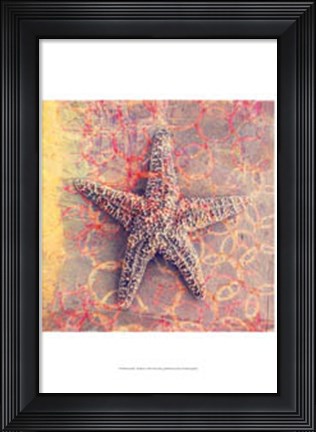 Framed Seashell-Starfish Print