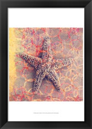 Framed Seashell-Starfish Print