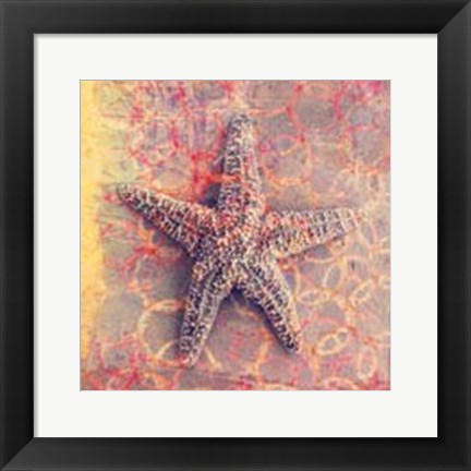 Framed Seashell-Starfish Print