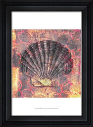 Framed Seashell-Scallop Print