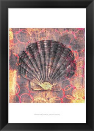 Framed Seashell-Scallop Print