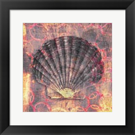 Framed Seashell-Scallop Print