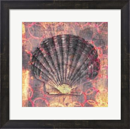 Framed Seashell-Scallop Print