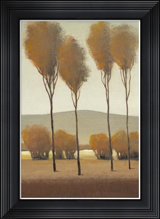 Framed Tall Birches I Print