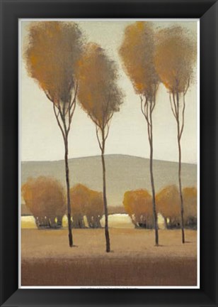 Framed Tall Birches I Print