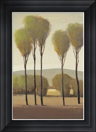 Framed Tall Birches II Print