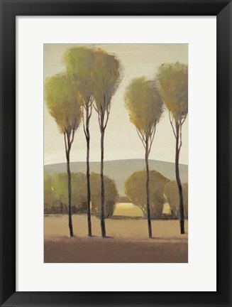 Framed Tall Birches II Print