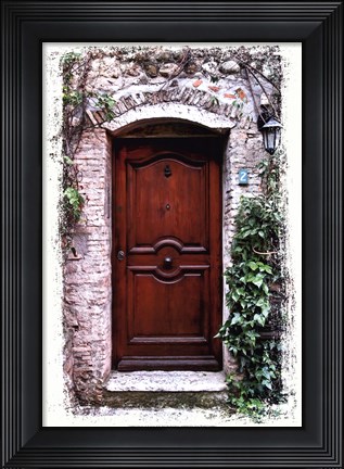 Framed Doors of Europe II Print
